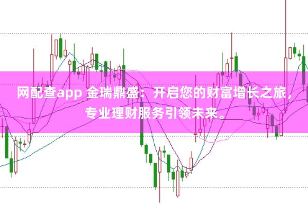 网配查app 金瑞鼎盛：开启您的财富增长之旅，专业理财服务引领未来。
