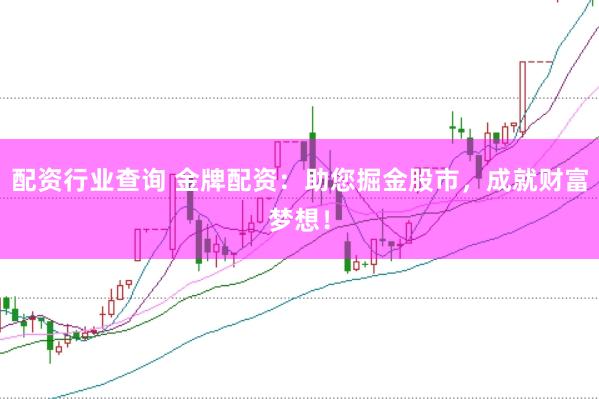 配资行业查询 金牌配资：助您掘金股市，成就财富梦想！