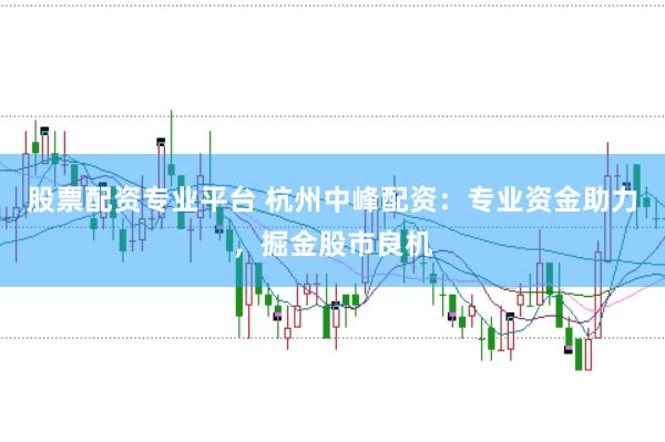 股票配资专业平台 杭州中峰配资：专业资金助力，掘金股市良机