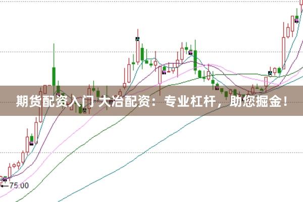 期货配资入门 大冶配资：专业杠杆，助您掘金！