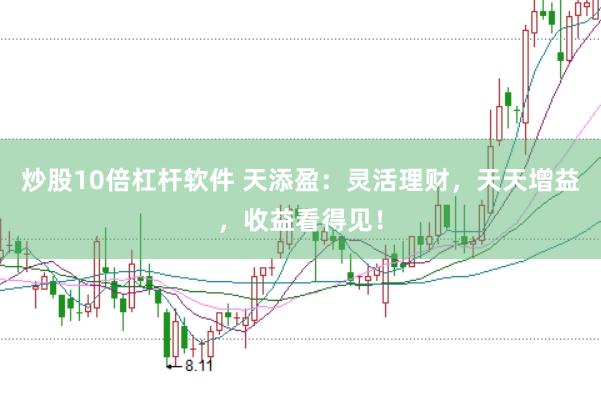 炒股10倍杠杆软件 天添盈：灵活理财，天天增益，收益看得见！