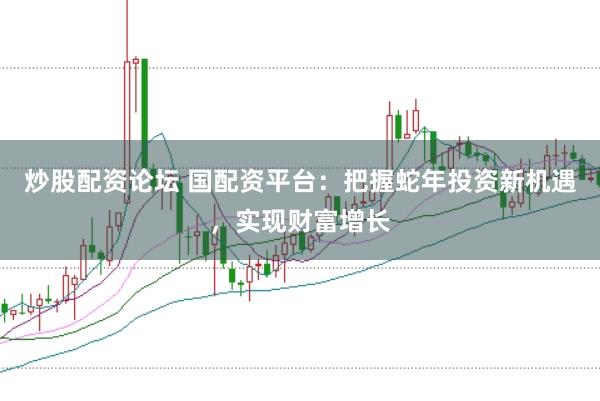 炒股配资论坛 国配资平台：把握蛇年投资新机遇，实现财富增长