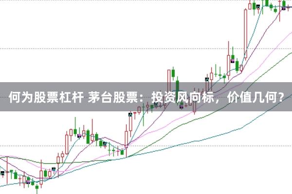 何为股票杠杆 茅台股票：投资风向标，价值几何？