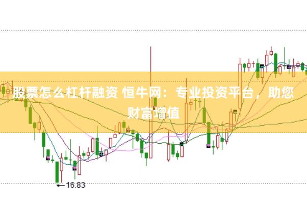 股票怎么杠杆融资 恒牛网：专业投资平台，助您财富增值