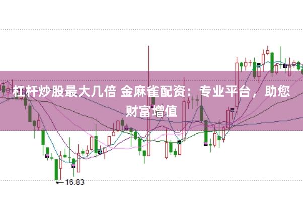 杠杆炒股最大几倍 金麻雀配资：专业平台，助您财富增值