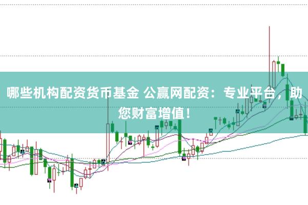 哪些机构配资货币基金 公赢网配资：专业平台，助您财富增值！