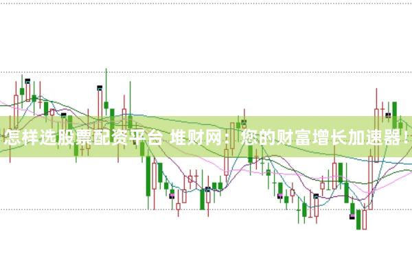 怎样选股票配资平台 堆财网：您的财富增长加速器！