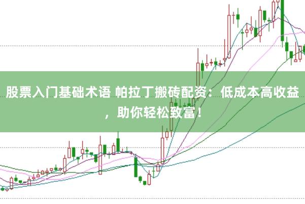 股票入门基础术语 帕拉丁搬砖配资：低成本高收益，助你轻松致富！
