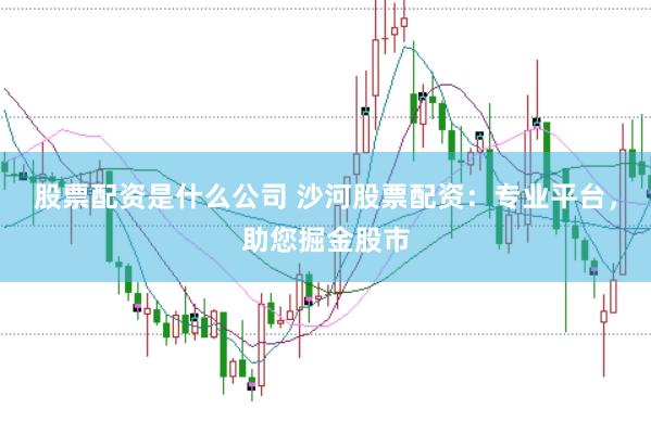 股票配资是什么公司 沙河股票配资：专业平台，助您掘金股市