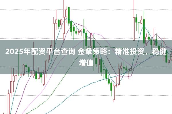 2025年配资平台查询 金夆策略：精准投资，稳健增值