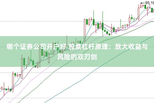 哪个证券公司开户好 股票杠杆原理：放大收益与风险的双刃剑