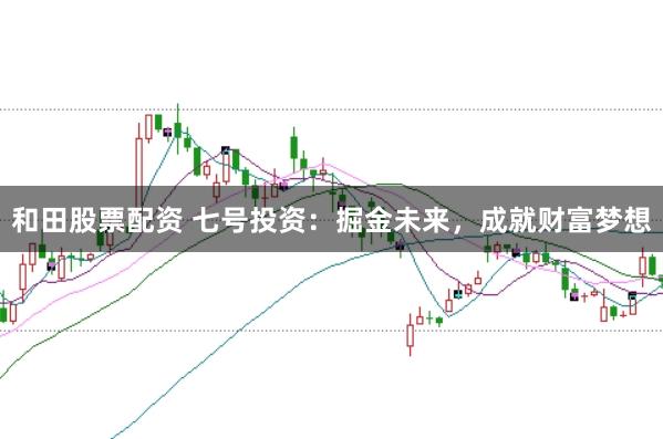 和田股票配资 七号投资：掘金未来，成就财富梦想
