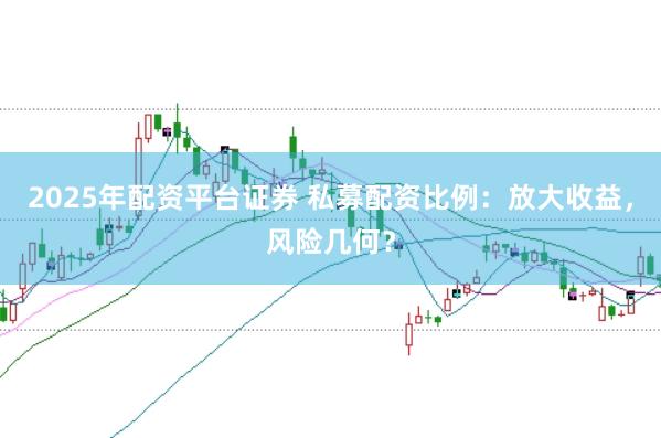2025年配资平台证券 私募配资比例：放大收益，风险几何？