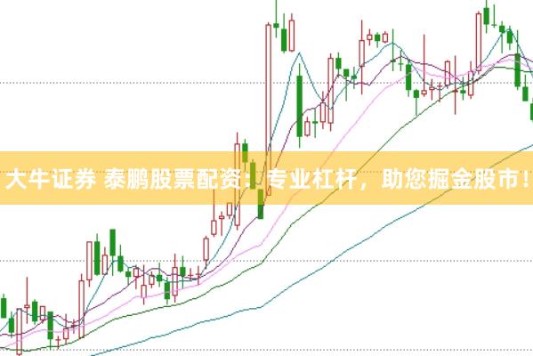 大牛证券 泰鹏股票配资：专业杠杆，助您掘金股市！