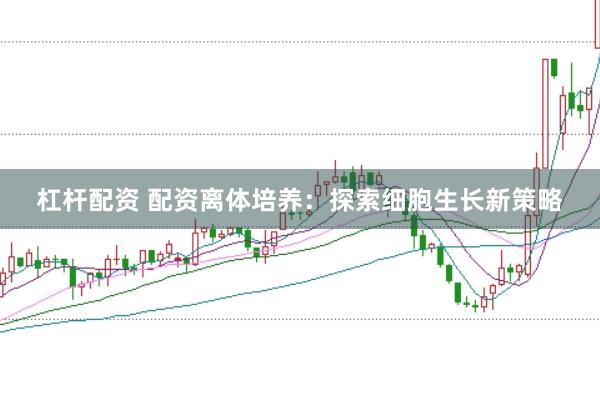 杠杆配资 配资离体培养：探索细胞生长新策略