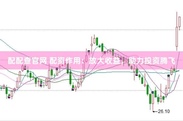 配配查官网 配资作用：放大收益，助力投资腾飞