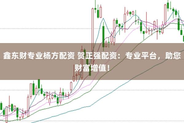 鑫东财专业杨方配资 贺正强配资：专业平台，助您财富增值！