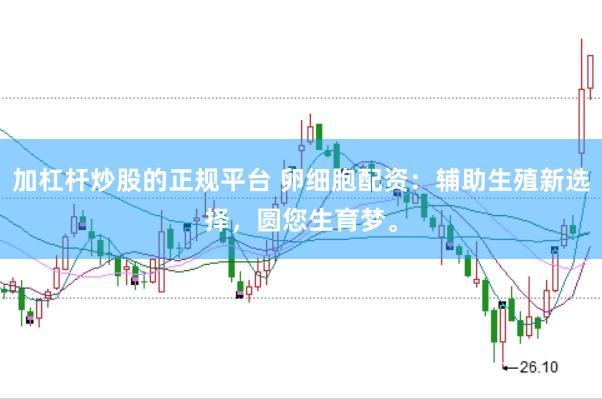 加杠杆炒股的正规平台 卵细胞配资：辅助生殖新选择，圆您生育梦。