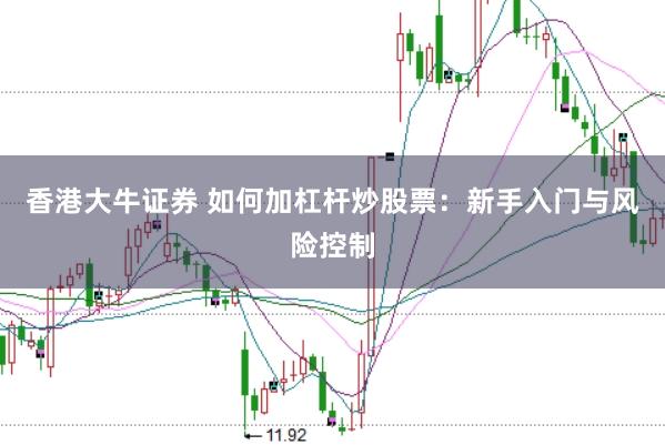 香港大牛证券 如何加杠杆炒股票：新手入门与风险控制