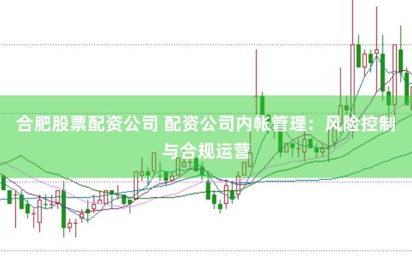 合肥股票配资公司 配资公司内帐管理：风险控制与合规运营