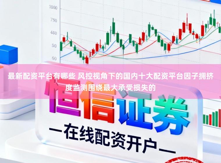 最新配资平台有哪些 风控视角下的国内十大配资平台因子拥挤度监测围绕最大承受损失的